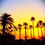 11376124_119102295092829_173590830_a