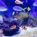 925557_260524934147603_881548837_a