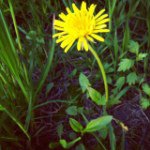 Profile_401961668_75sq_1370087982