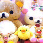 11123683_1576196442666408_1544640508_a