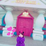 11232606_555144734626119_1774043661_a