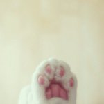 10748505_754258437944700_1124473740_a