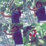 11383304_972542776118730_1795934234_a