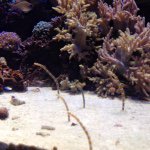 11378942_352713058271755_873388533_a