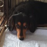 10903697_1765848596974697_430389710_a