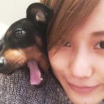 11348362_648445405289615_1216517661_a