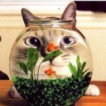 924045_356433491203684_1785998773_a