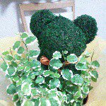 10561146_349629158559767_1423656379_a