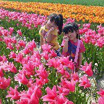 11208269_1436915559956743_2061895785_a