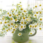 10576129_550777228394639_1297544368_a