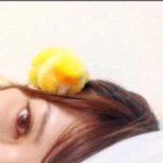 10995141_1558150351133293_91987131_a