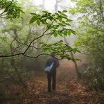 10723875_350454745132193_1566808648_a