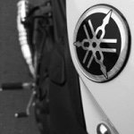 11111450_706190412823305_401401675_a