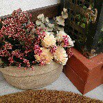 10983678_674212292684711_331970951_a