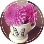 10729227_856295047737414_1072735794_a