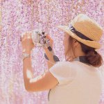 11208458_700847976707495_760020979_a