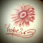 11356516_1229886177036797_1671103929_a