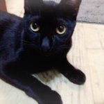 10665578_647643438683213_1590836331_a