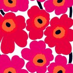 10544275_891191577614962_1533068760_a