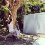 11358260_414325632096053_1453744614_a