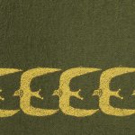 10731502_345372825652855_455258950_a