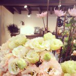 11356828_956456717751083_1063802769_a