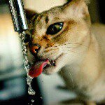 10296871_1429319540704623_1343069353_a