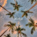 11230511_751912854930485_1013403348_a