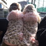 10358183_433402463481593_976954850_a