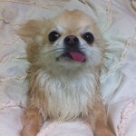 Profile_1458405_75sq_1342898329