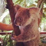 Profile_241072623_75sq_1382017046