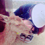 11235976_857470590994036_1752517973_a