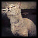 Profile_369661427_75sq_1368865218