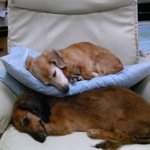 Profile_171623_75sq_1287374038