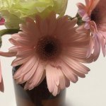 11189115_949433868421145_1476486461_a