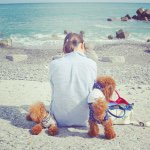 11386500_417468855123175_525621832_a