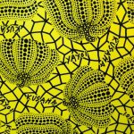 11189424_552073244930488_1486142149_a