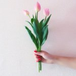 10952573_545432115599161_1112172565_a