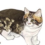 11419052_871534669588033_577307889_a