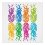 11356730_1615974571994483_1608215158_a