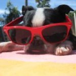 Profile_415198842_75sq_1371010931