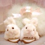 11311420_107459056258232_1998950670_a