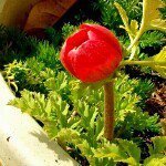 Profile_38307007_75sq_1334139312