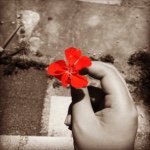 11357418_939610749393365_1951027035_a