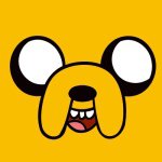 11326772_814168078673518_1058856616_a