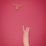 10903742_378184342359500_2069558053_a