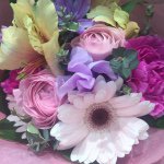 11032819_718610318256869_725762086_a