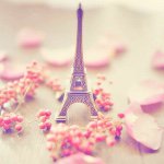 10948744_823884967679439_1707245926_a