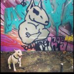 10895190_896989586987466_1968167272_a