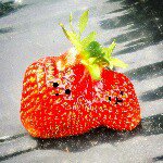 11335539_1005497982802706_735308576_a